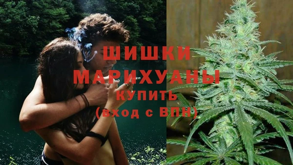 дживик Алексин