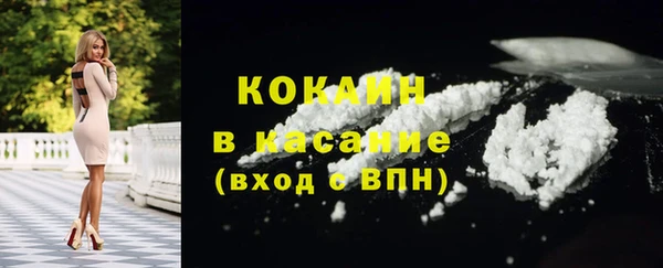 дживик Алексин