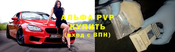 стафф Алзамай