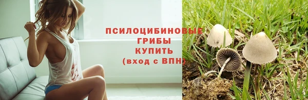 стафф Алзамай