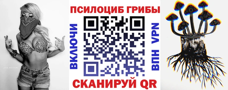 Купить  Поворино  Галлюциногенные грибы ЛСД 